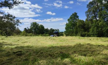 Campo de 9,8 hectáreas en La Traca, Máfil – Con agua, construcciones y orilla de estero