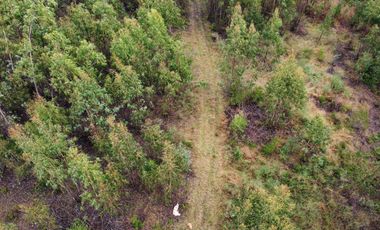 Campo de 9,8 hectáreas en La Traca, Máfil – Con agua, construcciones y orilla de estero