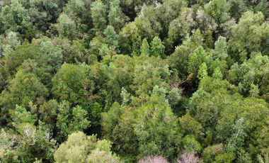 Campo de 9,8 hectáreas en La Traca, Máfil – Con agua, construcciones y orilla de estero