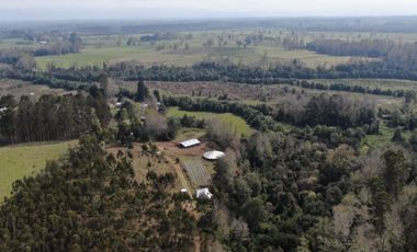 Campo de 9,8 hectáreas en La Traca, Máfil – Con agua, construcciones y orilla de estero