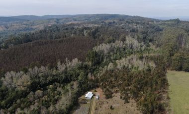 Campo de 9,8 hectáreas en La Traca, Máfil – Con agua, construcciones y orilla de estero
