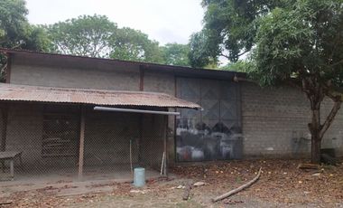 HACIENDA 3 HECTAREAS VIA LA COSTA