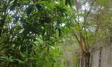 HACIENDA 3 HECTAREAS VIA LA COSTA