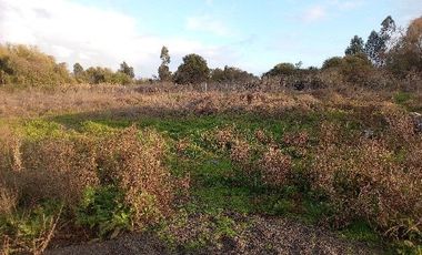 Vendo Casa En Alto Las Cruces, Talca, V 1396-391-LR-07.22