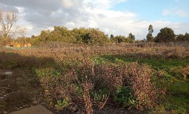 Vendo Casa En Alto Las Cruces, Talca, V 1396-391-LR-07.22