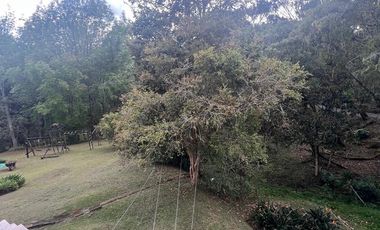 ARRIENDO CASA EN LAS PALMAS