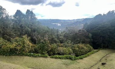 ARRIENDO CASA EN LAS PALMAS