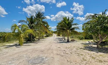 Residencia frente al mar en San Bruno.