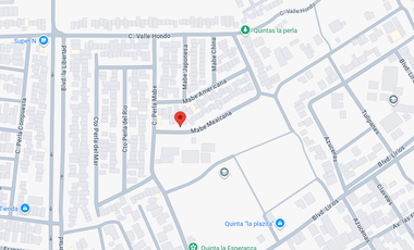 CASA DE RECUPERACION BANCARIA, UBICADA EN CALLE MABE MEXICANA, COLONIA PERLA, TORREON COAHUILA