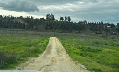 Hermosa parcela de 5.000 m² en VENTA