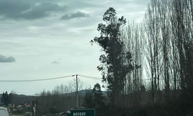 Hermosa parcela de 5.000 m² en VENTA