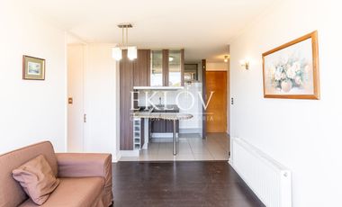 Depto 2d 2b Con Bodega Y Estacionamiento En Viña Oriente