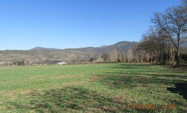 Parcela De 4 has Paine