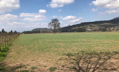 Parcela De 4 has Paine