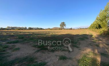 Parcela De 4 has Paine