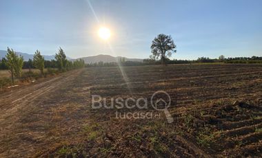 Parcela De 4 has Paine