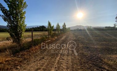 Parcela De 4 has Paine