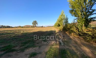 Parcela De 4 has Paine