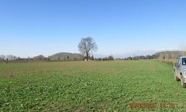 Parcela De 4 has Paine