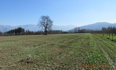 Parcela De 4 has Paine