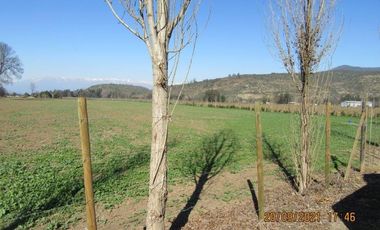 Parcela De 4 has Paine