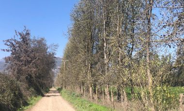 Parcela De 4 has Paine