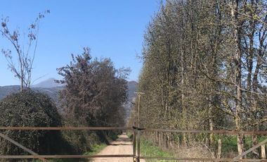 Parcela De 4 has Paine