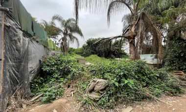 Se Vende Terreno Industrial 500 M2 - Lurin