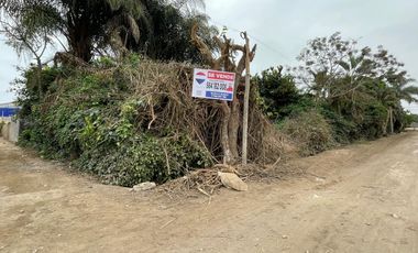 Se Vende Terreno Industrial 500 M2 - Lurin