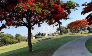 CASA DE 4 RECAMARAS DENTRO DE FRACCIONAMIENTO EN VENTA Y RENTA