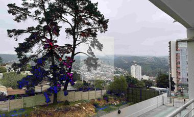 Arriendo acogedor departamento en Valparaíso, gastos comunes incluidos