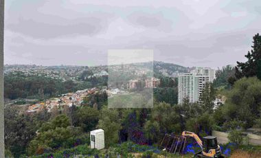 Arriendo acogedor departamento en Valparaíso, gastos comunes incluidos