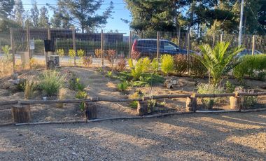 ¡Vive en Algarrobo: Amplia Casa con Gran Terreno!