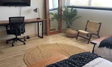 penthouse de 2 habitaciones awa Playacar