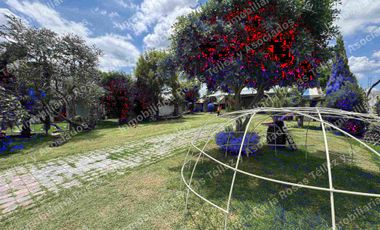 Terreno en Renta San Andrés Cholula, entre San Rafael Comac y centro de San Andrés. Puebla