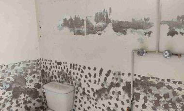 Bodega en Venta Comercial y Servicios