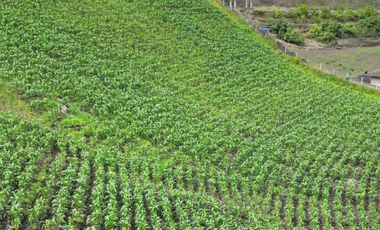 VENDO HERMOSOS TERRENOS EN PATATE, DESDE 2038 M2