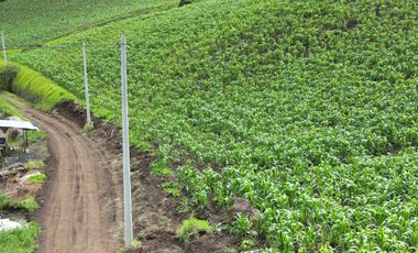 VENDO HERMOSOS TERRENOS EN PATATE, DESDE 2038 M2