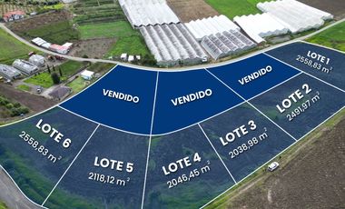 VENDO HERMOSOS TERRENOS EN PATATE, DESDE 2038 M2