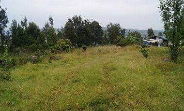 CAPULA, TENENCIA DE MORELIA. PRECIOSA FINCA A PIE DE CARRETERA