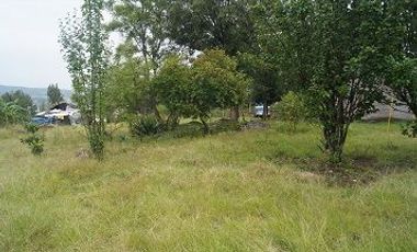 CAPULA, TENENCIA DE MORELIA. PRECIOSA FINCA A PIE DE CARRETERA