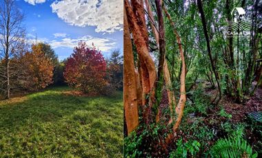 Arriendo casa en Puerto Varas