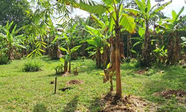 FN15 SE VENDE 2 CASAS FINCA VIA PRINCIPAL NACIONAL   RIO FRIO VEREDA MADRIGAL