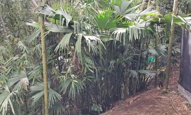 FN15 SE VENDE 2 CASAS FINCA VIA PRINCIPAL NACIONAL   RIO FRIO VEREDA MADRIGAL