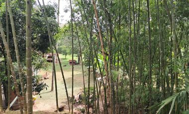 FN15 SE VENDE 2 CASAS FINCA VIA PRINCIPAL NACIONAL   RIO FRIO VEREDA MADRIGAL