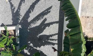 Casa en venta con recámara en planta baja zona Nte pte de la ciudad