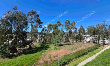 ARRIENDO DEPARTAMENTO DIARIO EN CONSTITUCIÓN.