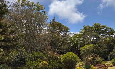 hermosa finca amoblada en arriendo en la mesa