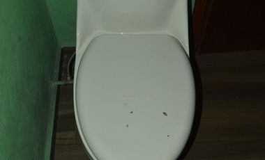 Casa en renta Nochebuena (Planta Baja)