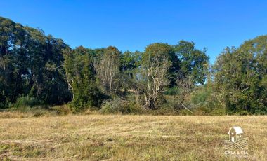 Parcela en Ottendorf Puerto Varas